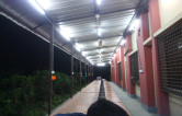 Story Image