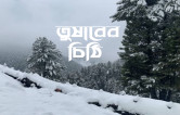 Story Image