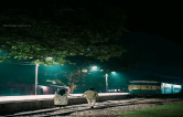Story Image